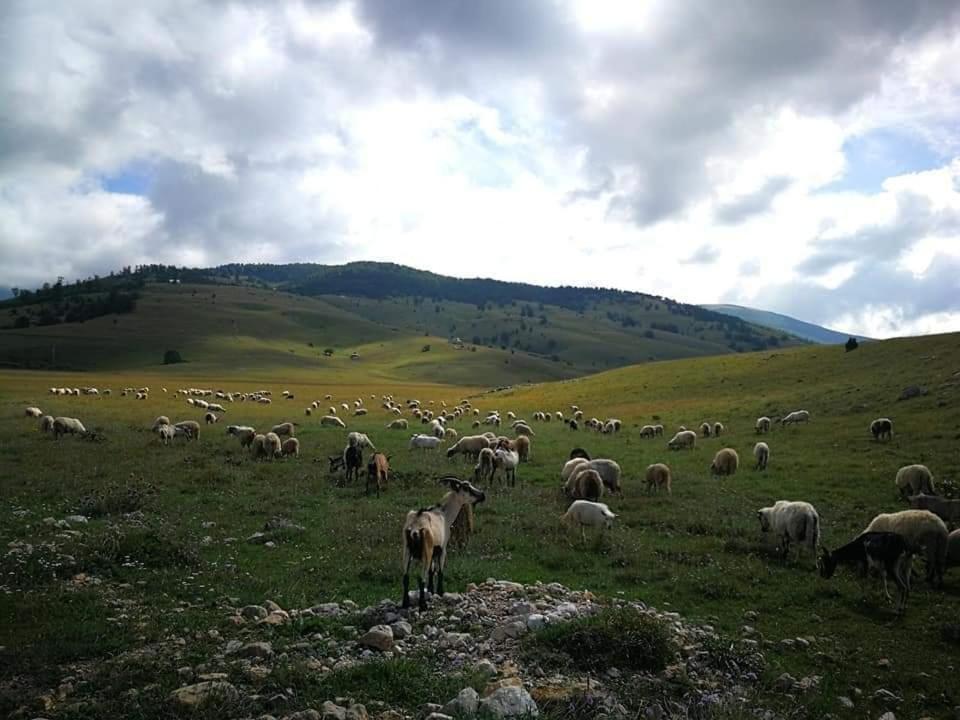 Natura As Gornji Lukomir 외부 사진